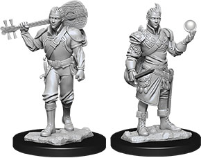 Half-Elf Bard Male (Nolzurs - W12)